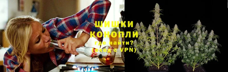 наркота  Видное  Конопля конопля 